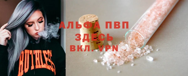 spice Беломорск