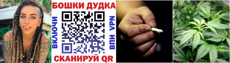 Конопля гибрид купить Всеволожск